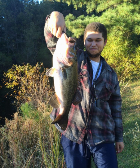 Bass Turtle catching fish
